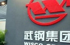 宝钢股份合并武钢股份实施完毕 27日起复牌