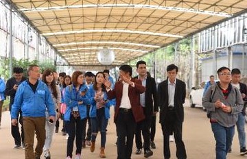 唐山355带钢：价格小幅下降，成交尚可