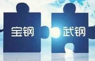 宝钢股份武汉钢铁有限公司挂牌成立