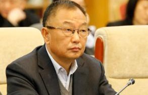 叶新华代表：防止地条钢企业以转型为名未批先建新增钢铁