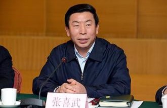 张喜武：加快推进煤电、钢铁等领域重组整合