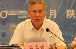中国煤炭工业协会副会长梁嘉琨 ：煤炭行业正在孕育新机