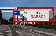 重庆钢铁股权架构变动 四川大型民企德胜集团乘势入股