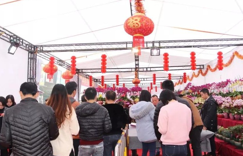 乐从钢铁世界免费送挥春活动超前火爆！