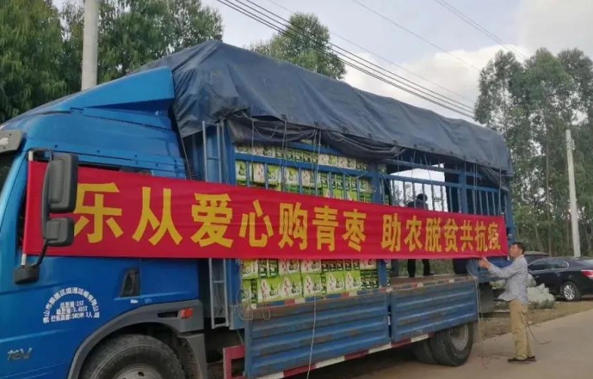 速订滞销青枣2万斤！钢铁世界发动爱心力量为贫困农户助销