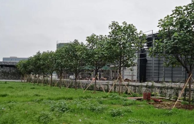 【芳名榜】钢铁世界携手乐善商家共建绿色功德长廊！