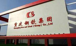 重庆钢铁股份有限公司重大资产重组进展公告