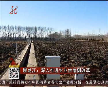 黑龙江供给侧改革成效显著 全面压减钢铁煤炭产能
