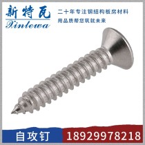 自攻钉/12X2寸*55mm/Q235B/新特瓦
