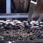 冷拉扁铁/20x4/Q235/本地-钢铁世界网
